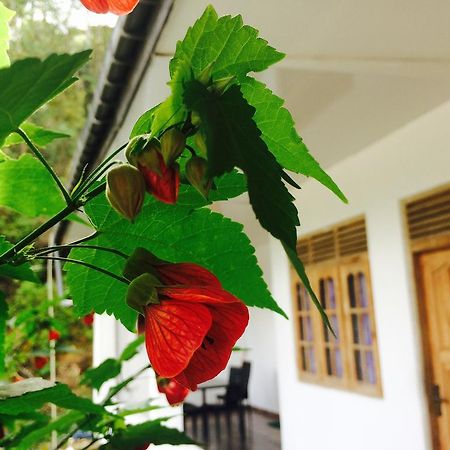 Green View Guest Inn Nallathanniya Dış mekan fotoğraf